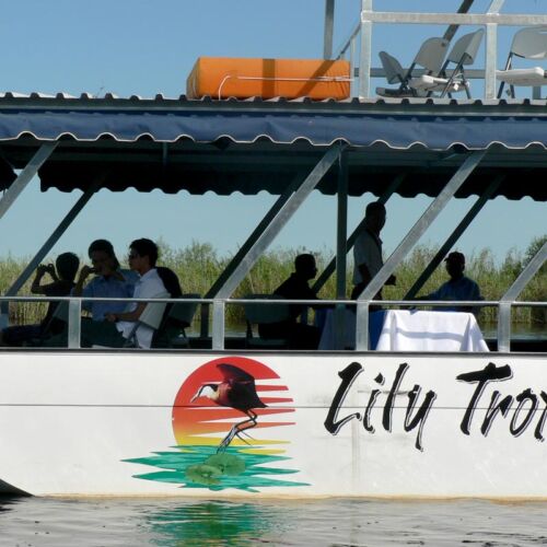 Janala Tours and Safaris - Chobe boat cruises
