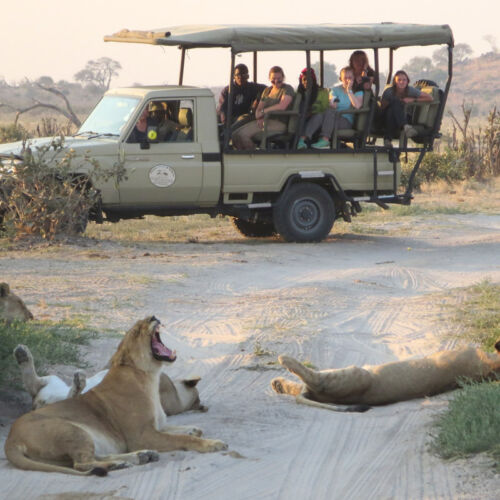 Janala Tours and Safaris - Chobe game drives