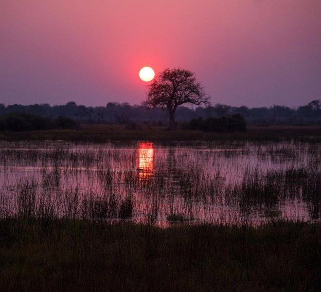 Janala Tours and Safaris - Chobe river