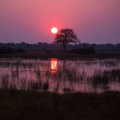 Janala Tours and Safaris - Chobe river